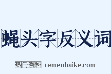 蝇头字反义词是什么意思的图片